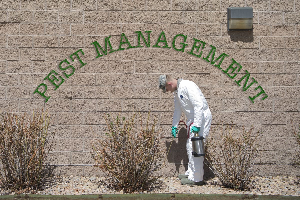Licensed pest control technician in protective coveralls treating the perimeter of a building | Texas Structural Pest Control CE